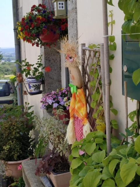 La Maison Des Fleurs Scrignac Экстерьер фото